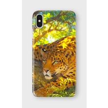 Karsu Design iPhone X/xs Uyumlu Baskılı Şeffaf Telefon Kılıfı | Koleksiyon: Jungle Wildlife