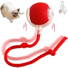 MiraLive Şarjlı Kedi Oyuncağı