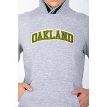Dynamo Erkek Grimelanj Kapüşonlu Kanguru Cepli Içi Şardonlu  Pamuklu Sweatshirt 6756