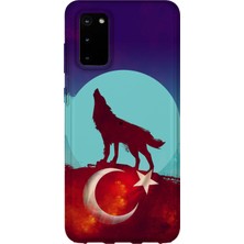 Karsu Design Samsung Galaxy S20 Plus Uyumlu Baskılı Şeffaf Telefon Kılıfı | Koleksiyon: Grey Wolf Turkish Symbol