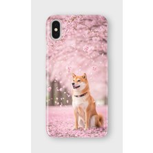 Karsu Design iPhone Xs Max Uyumlu Baskılı Şeffaf Telefon Kılıfı | Koleksiyon: Cute Dog Loyalty