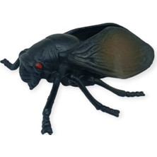 Böcek Figürleri - Gerçekçi Figür - Ağustos Böceği 10 cm (Lisinya)