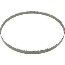 Einhell Şerit Testere Yedek Bıçağı (1400MM / Alman Çeliği)