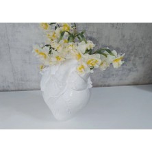 Elbu Collection Anatomik Kalp Biblo Beyaz