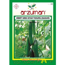 Arzuman Nasuhi F1 (Sırık) Hibrit Hıyar Tohumu 10 Adet
