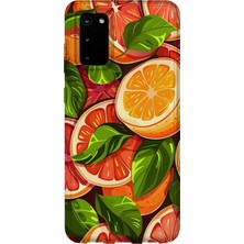 Karsu Design Samsung Galaxy S20 Plus Uyumlu Baskılı Şeffaf Telefon Kılıfı | Koleksiyon: Fruits And Vegetables