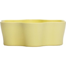 Poliwork Plastik Kaktüs Saksı 5,5 cm – Mini Kaktüs Sukulent ve Fide Saksısı