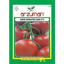 Arzuman Işık F1 (Sırık) Domates Tohumu 10 Adet