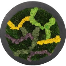 Yerli Duvar Bahçe Aranjman - Yaşayan Duvar Bitkileri 6