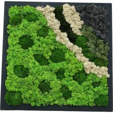 Yerli Duvar Bahçe Aranjman - Yaşayan Duvar Bitkileri