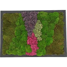 Yerli Duvar Bahçe Aranjman - Yaşayan Duvar Bitkileri 14