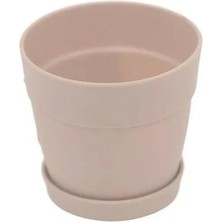 Poliwork Tabaklı Mini Kaktüs Saksısı Mix 0.11 Lt - Renkli Sukulent Saksı Seti