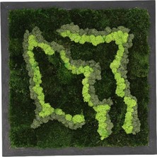 Yerli Duvar Bahçe Aranjman - Yaşayan Duvar Bitkileri 10