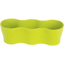 Poliwork Üçlü Kaktüs Saksı 5,5 cm – 3'lü Set Mini Kaktüs Sukulent ve Fide Saksısı