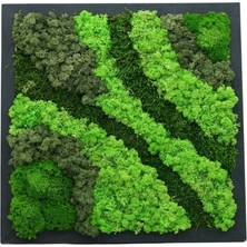 Yerli Duvar Bahçe Aranjman - Yaşayan Duvar Bitkileri