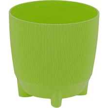 Poliwork Kaktüs Yuvarlak Saksı 0,12 Lt – 60 mm Mikro Boy Renkli Çiçek Saksısı
