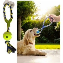 Kiesa Ipli Köpek Oyun Topu Köpek Eğitim Topu Halatlı Köpek Çiğneme Topu Köpek Diş Kaşıyıcı