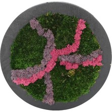 Yerli Duvar Bahçe Aranjman - Yaşayan Duvar Bitkileri 11