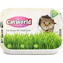 Kotenart Kedi Çimi Doğal Cat Grass Kit – Kediler Için Sindirim Destekleyici Taze Çim Seti