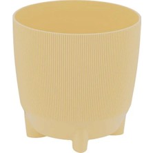 Poliwork Yuvarlak Kaktüs Saksısı 0.12 Lt - Sukulent ve Mini Bitki Saksısı