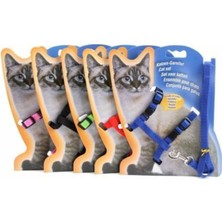 Kiesa Kedi Göğüs Tasması ve Gezdirme Tasması Ayarlanabilir