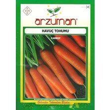 Arzuman Nantes Havuç Tohumu 10 gr