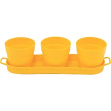 Poliwork 3'lü Set Kaktüs Saksı Mix 0,4 Lt – 33 cm Uzunluk Mini Sukulent Saksı Seti