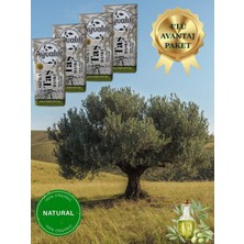 Lux Ayvalık Natural Sızma Zeytinyağı | 4’lü Fırsat Paket 4*5 Lt