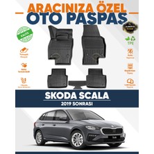 Alberto Rossi Alberto Rossı Skoda Scala 2019+ 3D Havuzlu Paspas