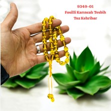 Sedef Fosilli Karıncalı Toz Kehribar Tesbih