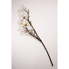 Paşabahçe Manolya 61 cm Krem - 1 Adet