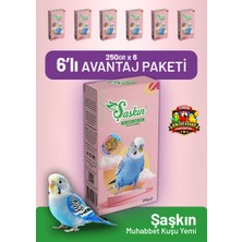 Bird Food Energy Şaşkın Muhabbet Kuşu Yemi 250 G - 6 Adet