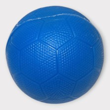 Ergün Store Köpek Oyuncağı - Plastik Düdüklü Top - Mavi (Lisinya)