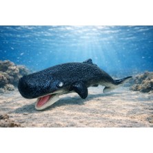 Ergün Store Deniz Hayvanları Serisi - Ispermeçet Balina 22 cm (Lisinya)