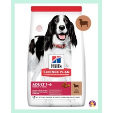 Hill's Sp Kuzulu ve Pirinçli Orta Irk Yetişkin Köpek Maması 2.5kg