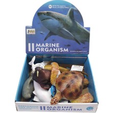 Ergün Store Soft Deniz Hayvanları 8 - E022 (Lisinya)