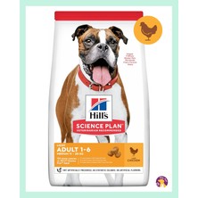 Hill's Light Tavuklu Medium Yetişkin Kuru Köpek Maması 2,5 kg