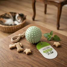 Lowell Home Ieg Sesli Dikenli Evcil Hayvan Oyuncak Topu LWLHMRS-İEG4256