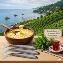 Hediye Durağı Hamsi Kalem