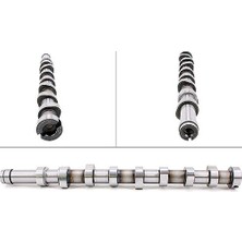 Gutsy Eksantrik Mili Ford Courıer 14> Focus Iıı 11> C.max 1.6tdcı 11> 0801.FC-AV6Q6250BA-1685737-3133019