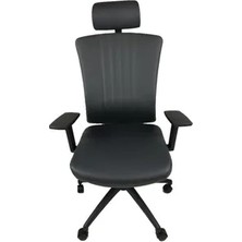 Vivense Goldsit Tunis Ayarlı Kolçaklı Yönetici Koltuğu 000 Pa, Antrasit Deri