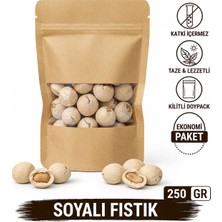 Natvera Soyalı Fıstık 250 gr – Çıtır Kaplamalı Yer Fıstığı