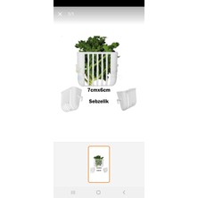 Kaya Kafes 5 Adet Meyve Sebze Tutacağı Kuş Kafesleri Için