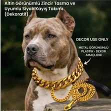 Gold Zincir Köpek Tasması ve Zincir Kayış - Dekoratif Plastik Zincir - Kolye Hediyeli