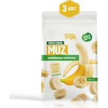 Dondurularak Kurutulmuş Muz 20 G | Freeze Dried Meyve Cipsi | Çıtır Meyve Kurusu | 3 Adet