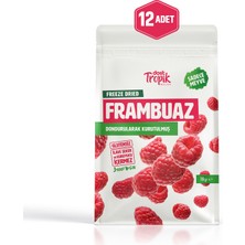 Dondurularak Kurutulmuş Frambuaz 18 G | Freeze Dried Meyve Cipsi | Çıtır Meyve Kurusu | 12 Adet