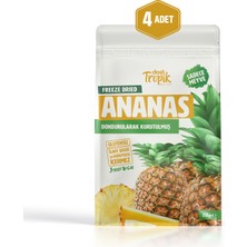 Dondurularak Kurutulmuş Ananas 20 G | Freeze Dried Meyve Cipsi | Çıtır Meyve Kurusu | 4 Adet