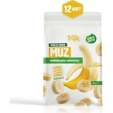 Dondurularak Kurutulmuş Muz 20 G | Freeze Dried Meyve Cipsi | Çıtır Meyve Kurusu | 12 Adet