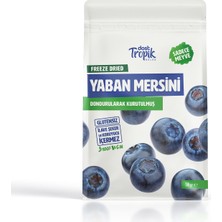 Dondurularak Kurutulmuş Yaban Mersini 18 G | Freeze Dried Meyve Cipsi | Çıtır Meyve Kurusu | 1 Adet