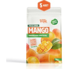 Dondurularak Kurutulmuş Mango 20 G | Freeze Dried Meyve Cipsi | Çıtır Meyve Kurusu | 5 Adet